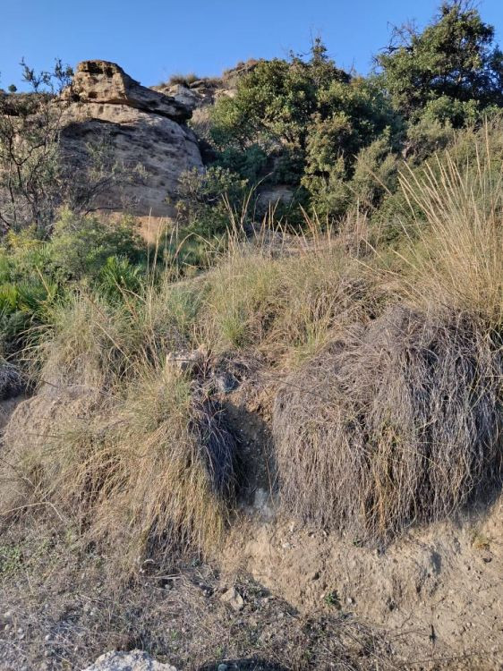 Se vende Terreno Rustico  en Costa Del Sol, Málaga, España