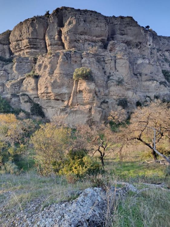 Se vende Terreno Rustico  en Costa Del Sol, Málaga, España