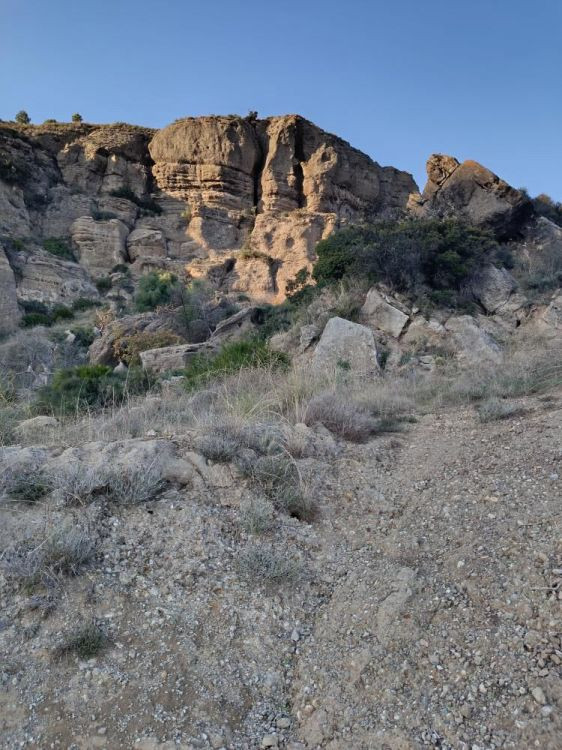 Se vende Terreno Rustico  en Costa Del Sol, Málaga, España