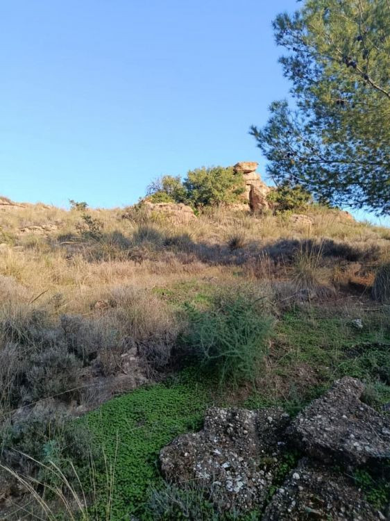 Se vende Terreno Rustico  en Costa Del Sol, Málaga, España