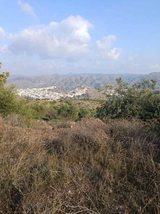 Se vende Terreno Rustico  en Costa Del Sol, Málaga, España