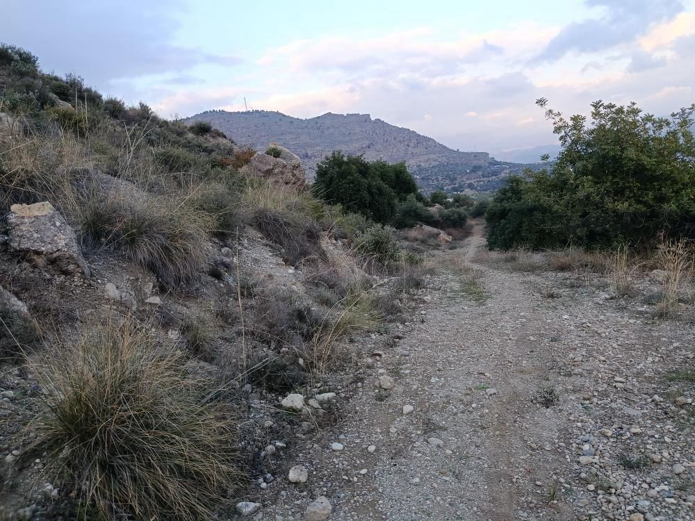 Se vende Terreno Rustico  en Costa Del Sol, Málaga, España