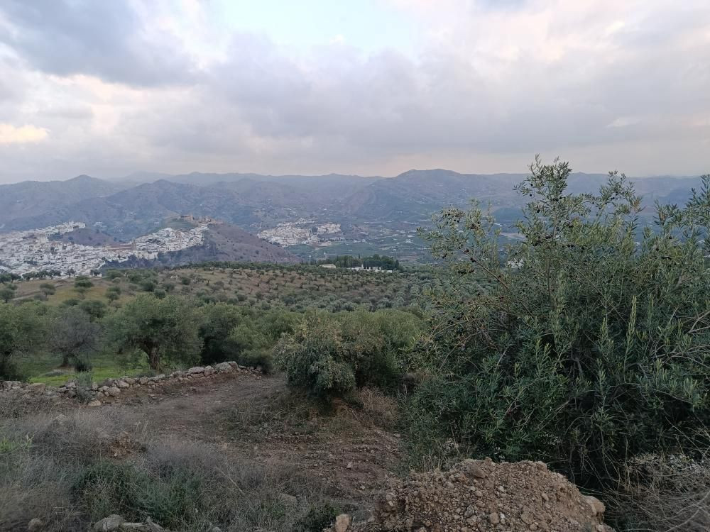 Se vende Terreno Rustico  en Costa Del Sol, Málaga, España