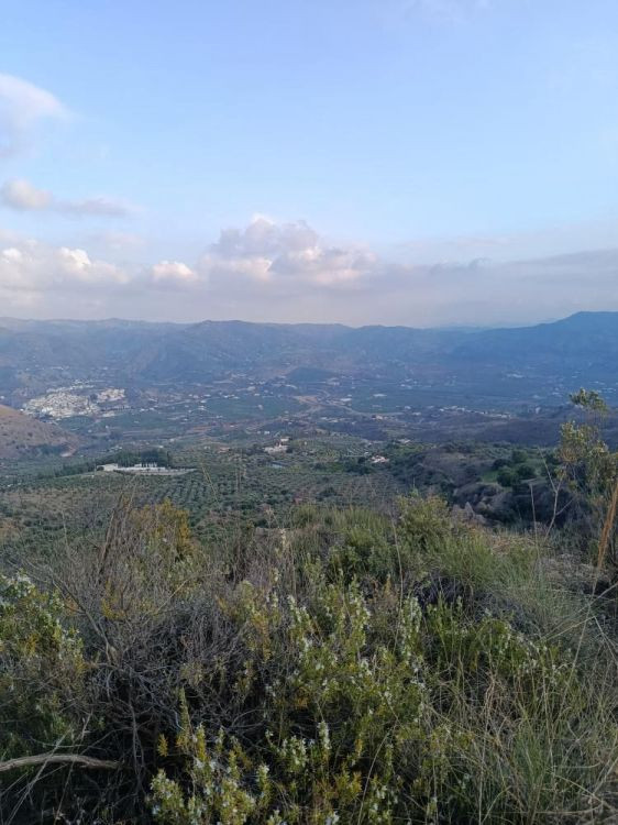 Se vende Terreno Rustico  en Costa Del Sol, Málaga, España