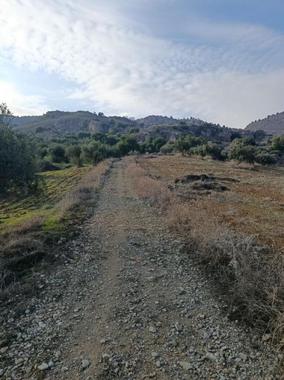 Se vende Terreno Rustico  en Costa Del Sol, Málaga, España