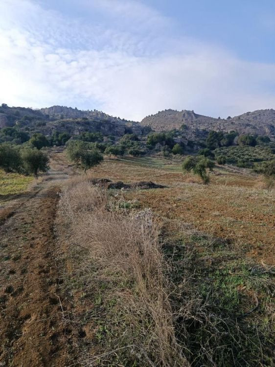 Se vende Terreno Rustico  en Costa Del Sol, Málaga, España