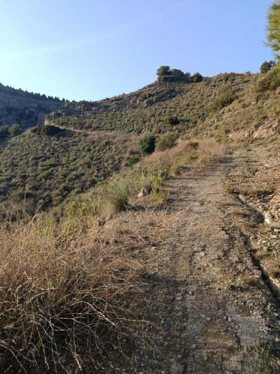 Se vende Terreno Rustico  en Costa Del Sol, Málaga, España