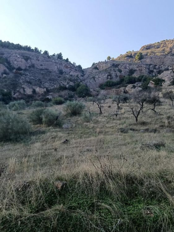 Se vende Terreno Rustico  en Costa Del Sol, Málaga, España