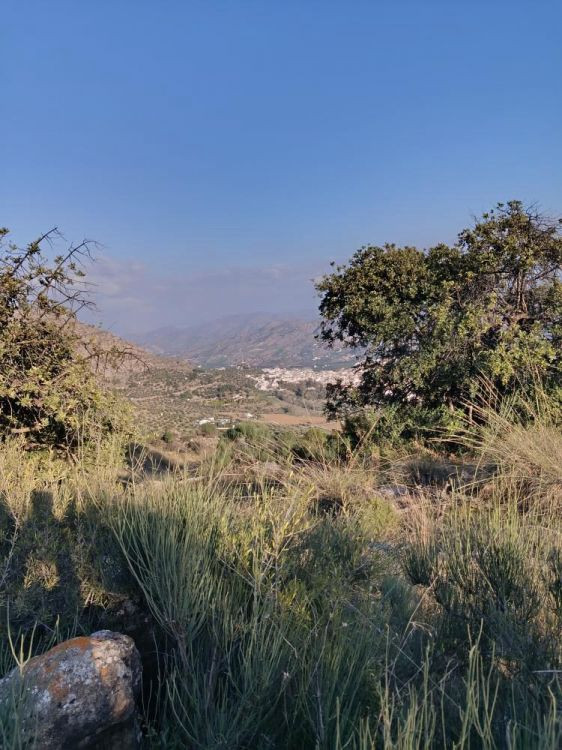 Se vende Terreno Rustico  en Costa Del Sol, Málaga, España
