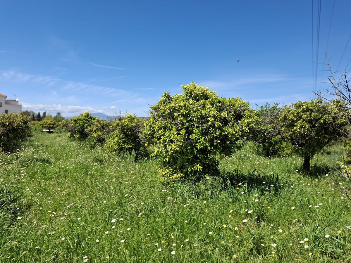 Se vende Terreno Rustico  en Costa Del Sol, Málaga, España