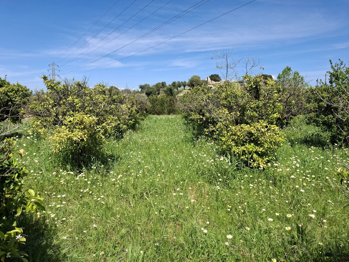 Se vende Terreno Rustico  en Costa Del Sol, Málaga, España