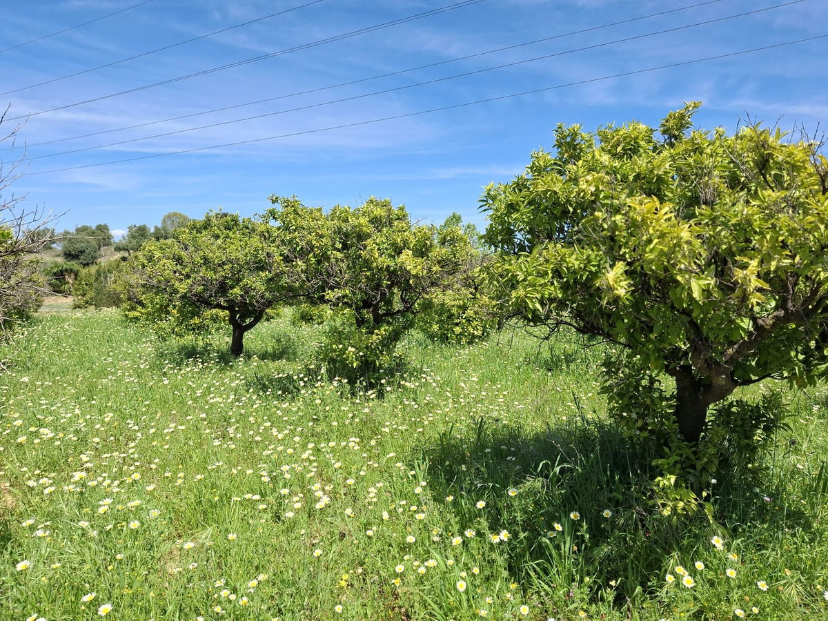 Se vende Terreno Rustico  en Costa Del Sol, Málaga, España
