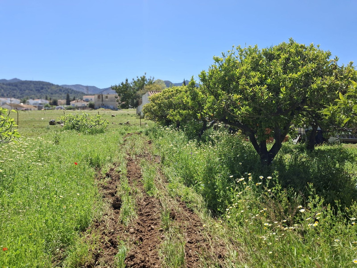 Se vende Terreno Rustico  en Costa Del Sol, Málaga, España