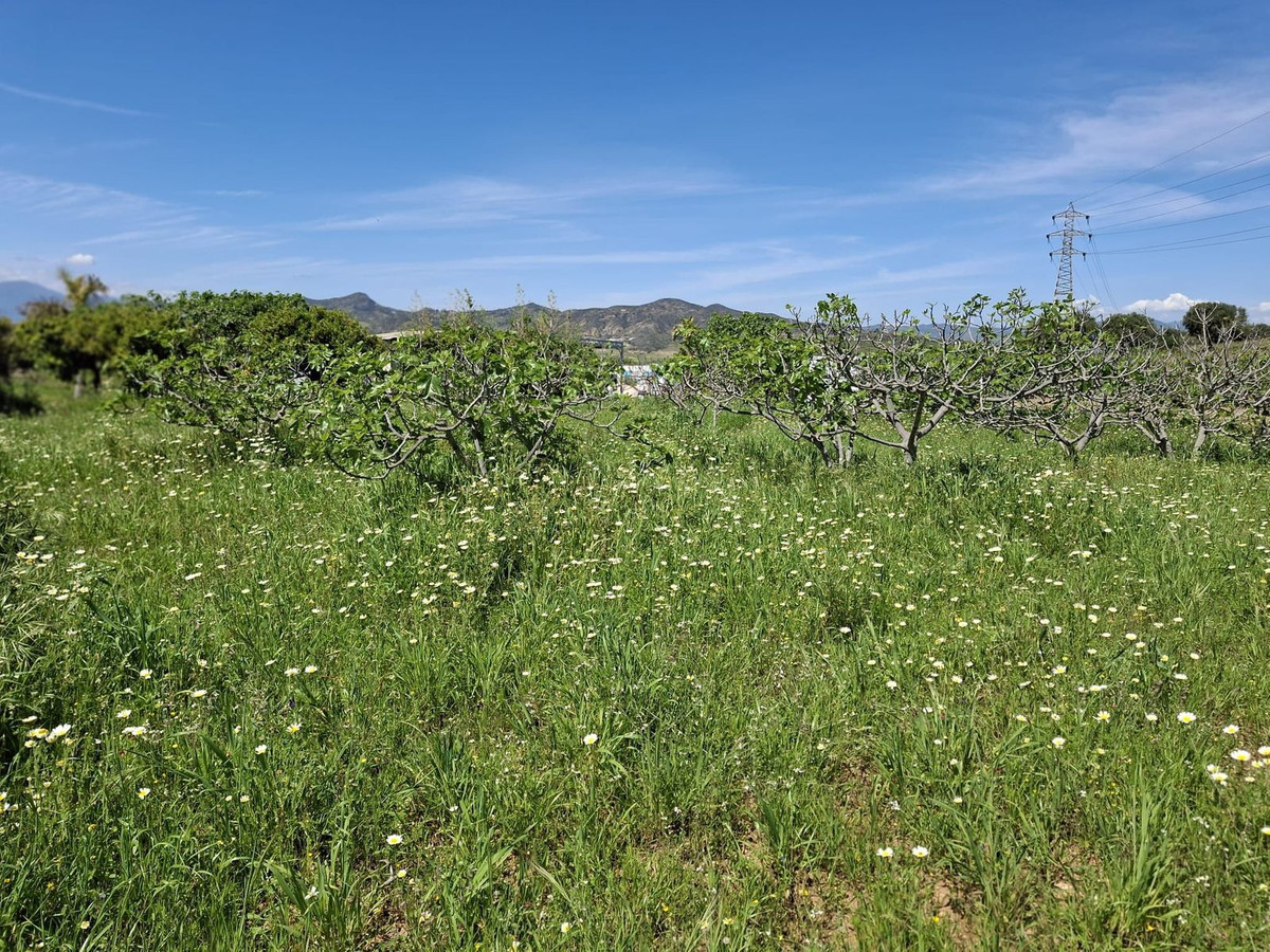 Se vende Terreno Rustico  en Costa Del Sol, Málaga, España