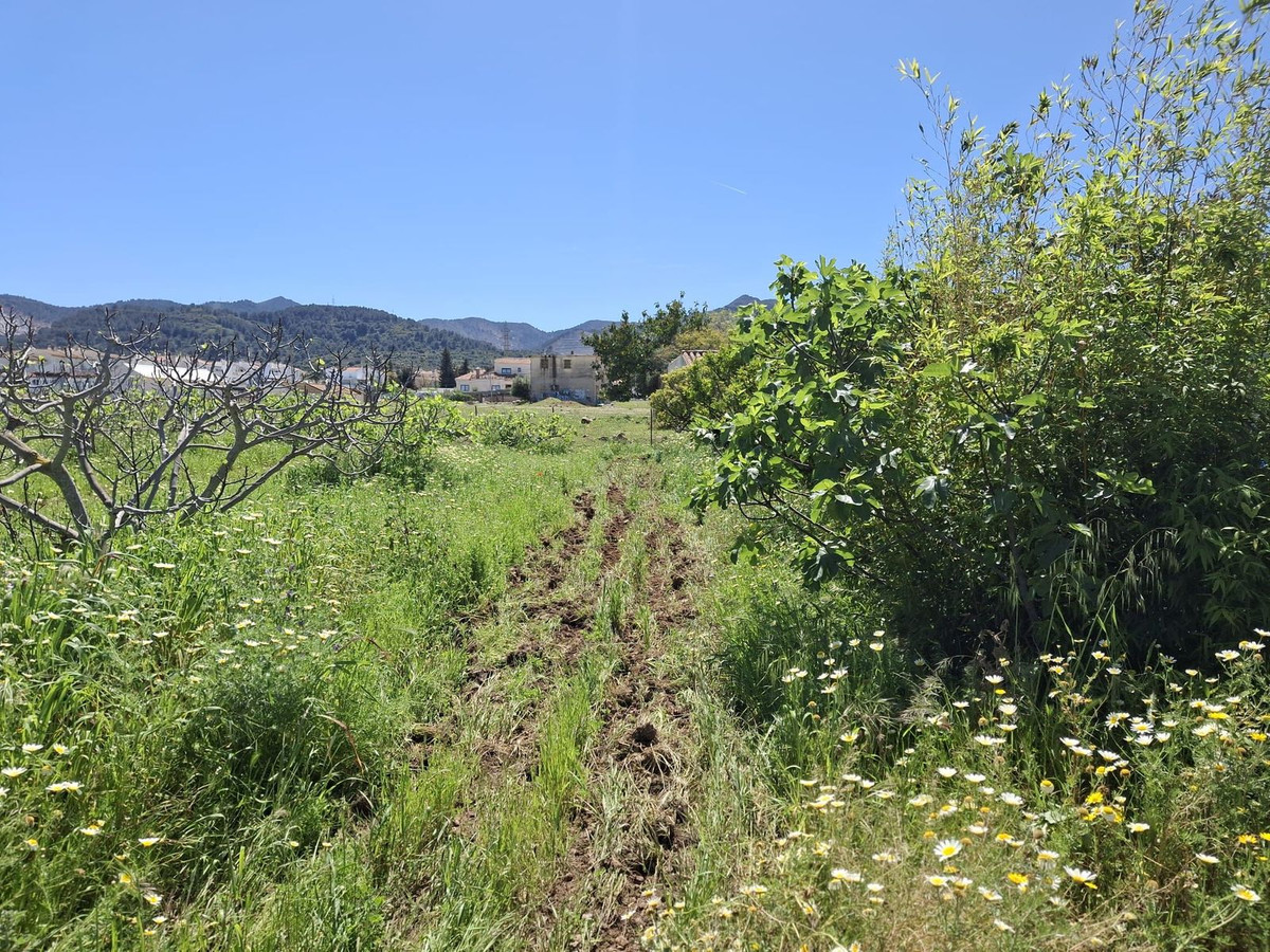 Se vende Terreno Rustico  en Costa Del Sol, Málaga, España