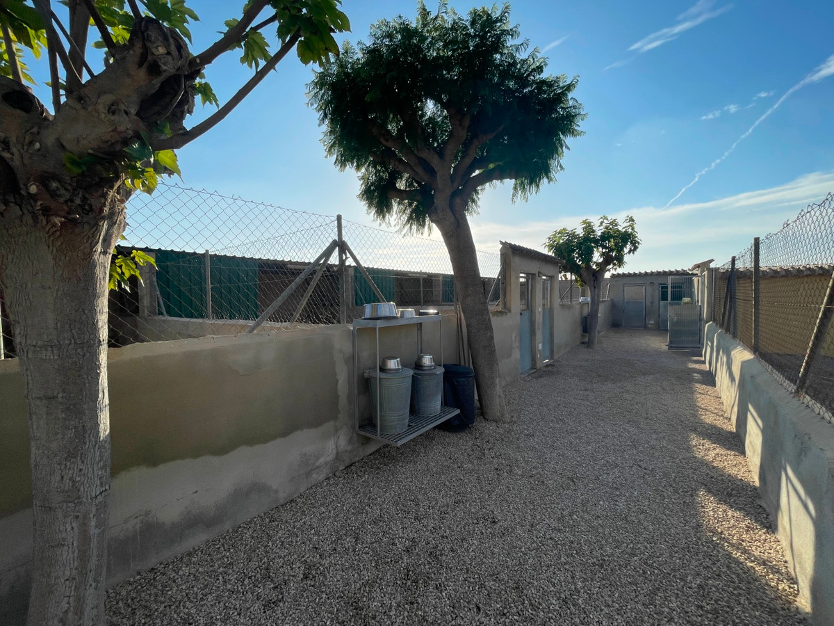 Se vende Finca - Cortijo de 1 dormitorios en Costa Blanca, Alicante, España