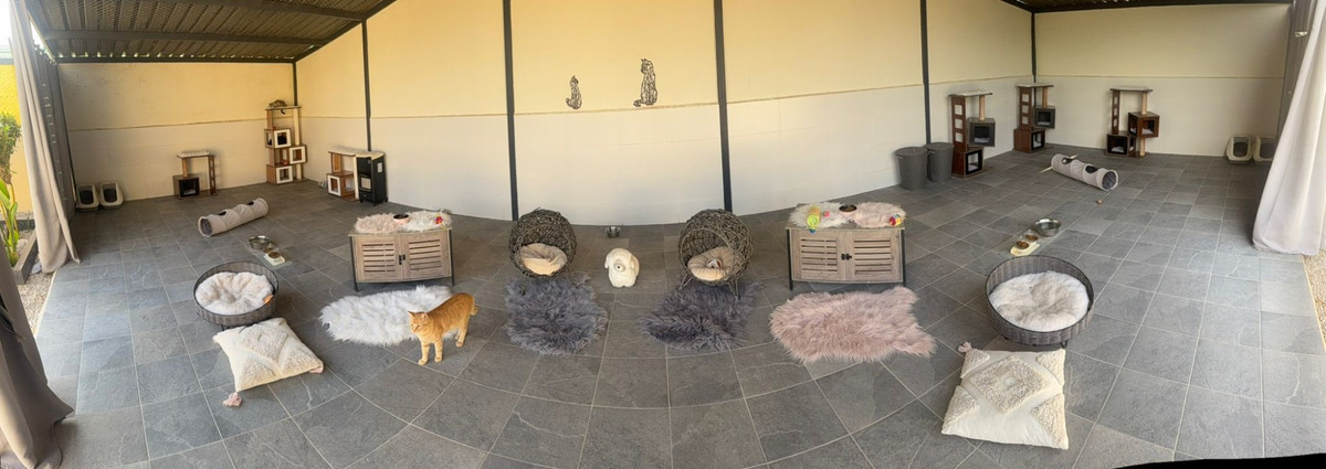 Se vende Finca - Cortijo de 1 dormitorios en Costa Blanca, Alicante, España