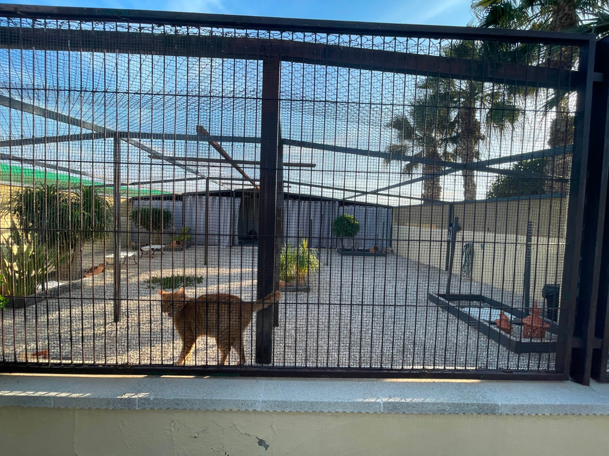 Se vende Finca - Cortijo de 1 dormitorios en Costa Blanca, Alicante, España