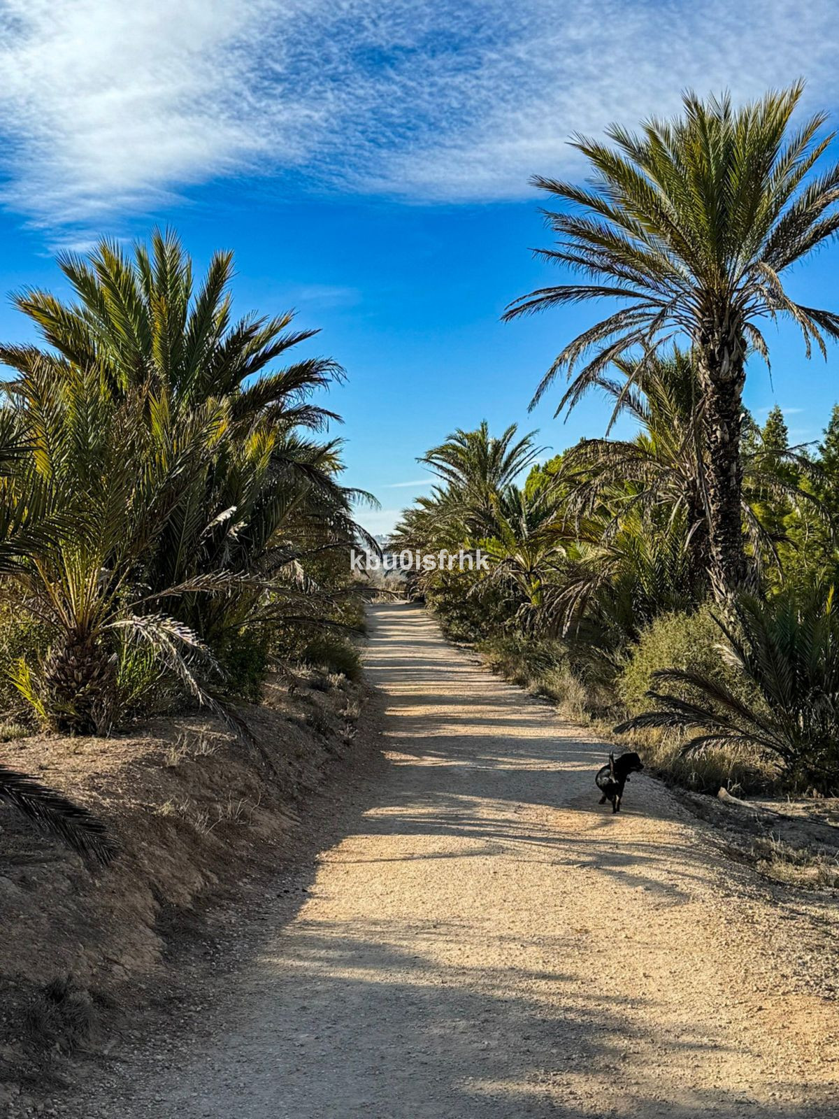Se vende Apartamento Planta Media de 2 dormitorios en Costa Blanca, Alicante, España