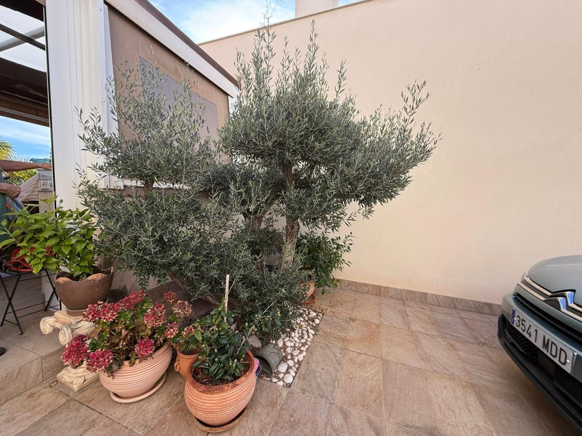 3 Bed Townhouse for sale in Los Montesinos Costa Blanca, Alicante, Spain