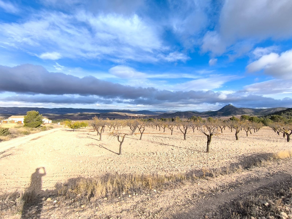 Se vende Finca - Cortijo de 5 dormitorios en Costa Calida, Murcia, España