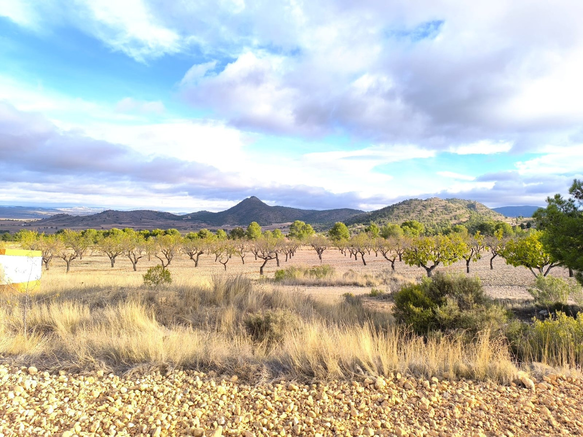 Se vende Finca - Cortijo de 5 dormitorios en Costa Calida, Murcia, España