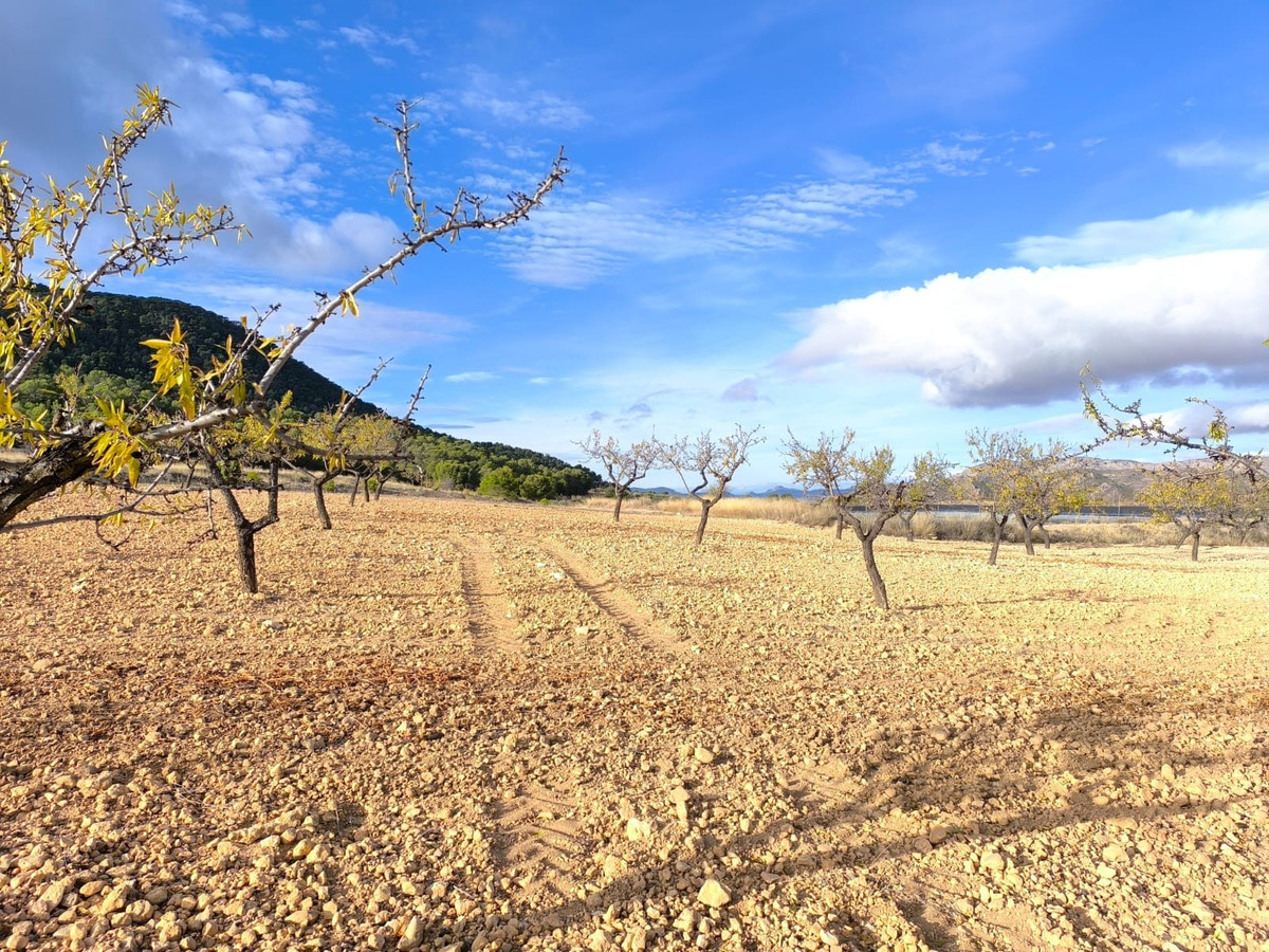 Se vende Finca - Cortijo de 5 dormitorios en Costa Calida, Murcia, España