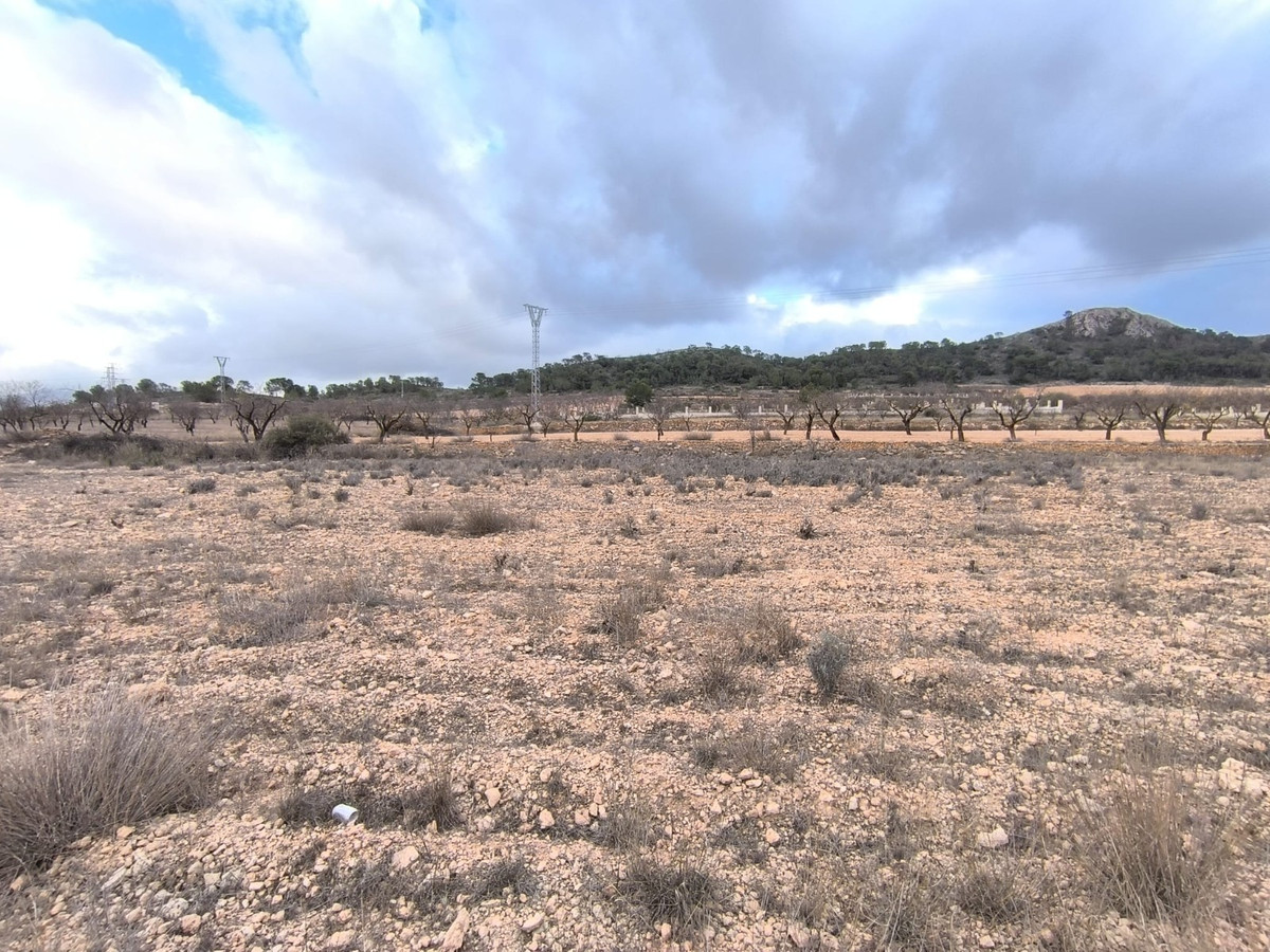 Se vende Terreno Rustico  en Costa Blanca, Alicante, España