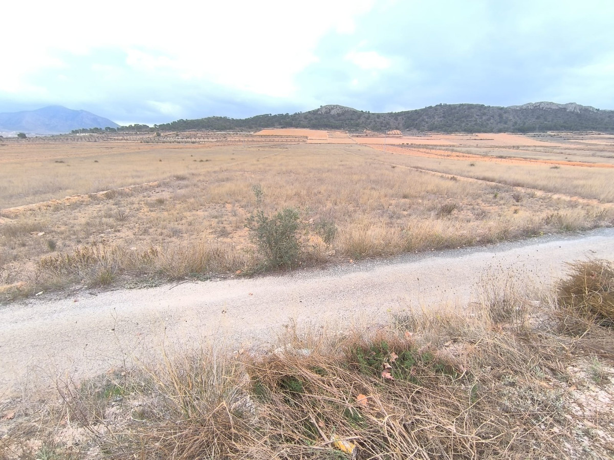 Se vende Terreno Rustico  en Costa Blanca, Alicante, España