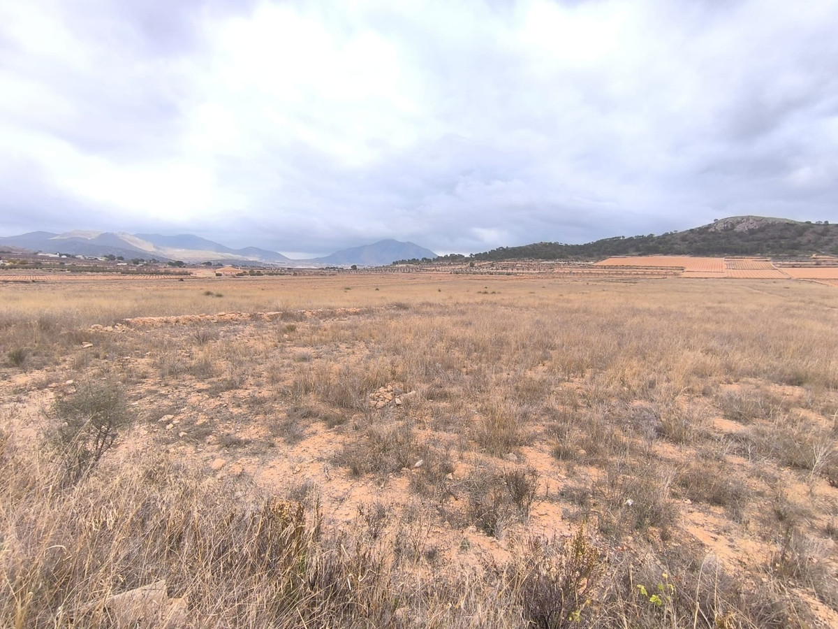 Se vende Terreno Rustico  en Costa Blanca, Alicante, España