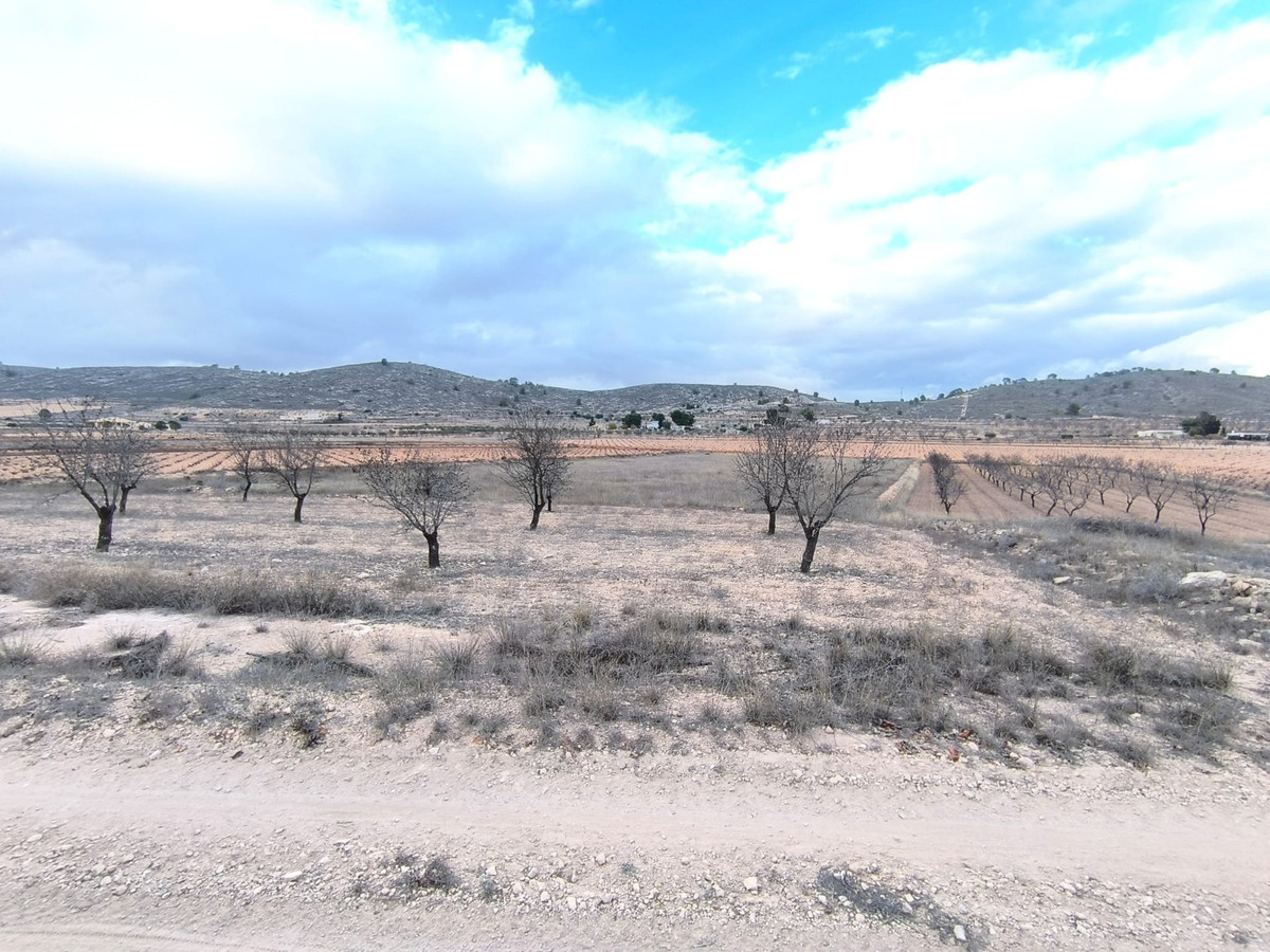 Se vende Terreno Rustico  en Costa Blanca, Alicante, España