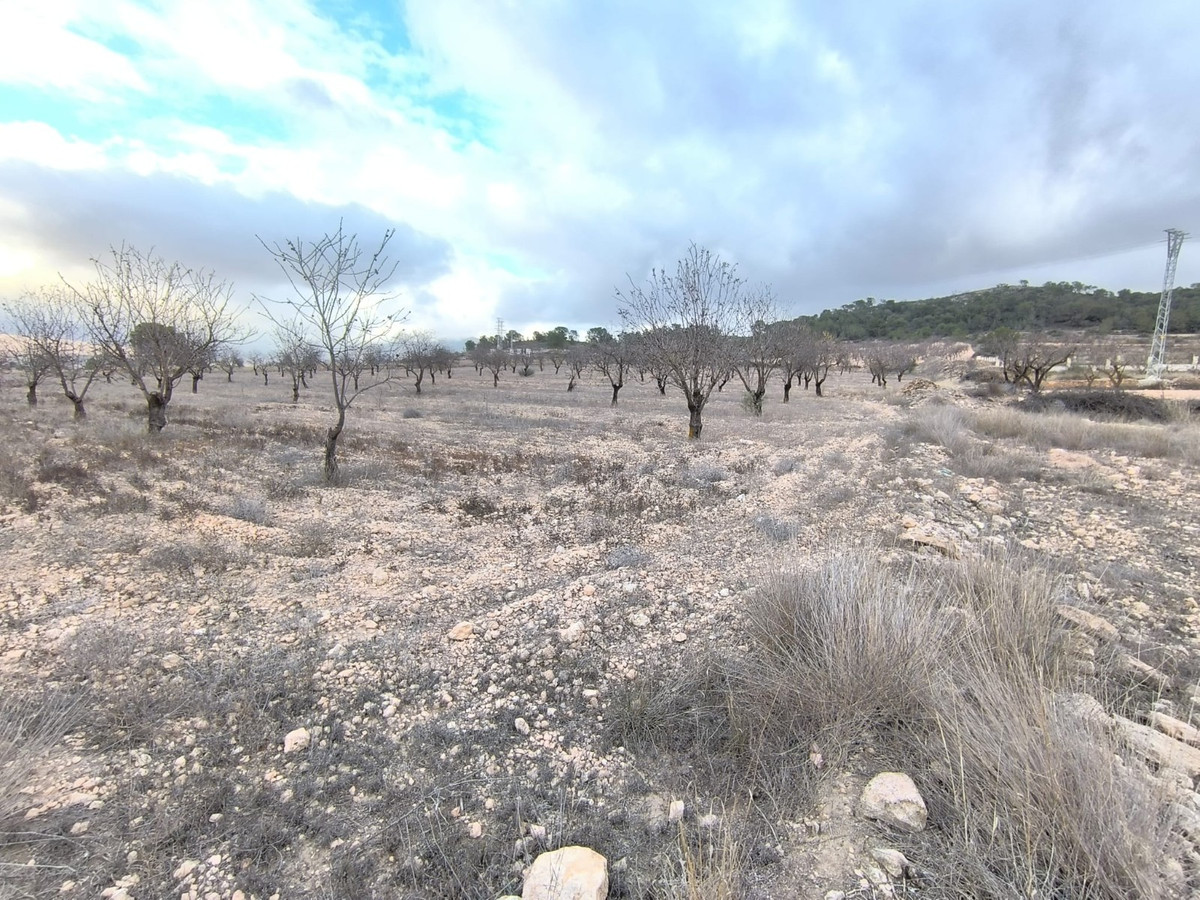 Se vende Terreno Rustico  en Costa Blanca, Alicante, España