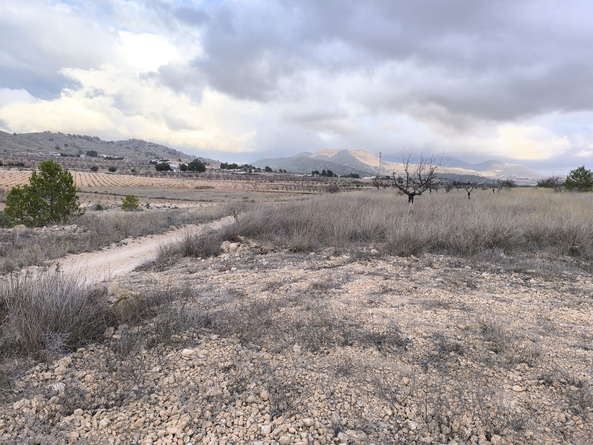 Se vende Terreno Rustico  en Costa Blanca, Alicante, España