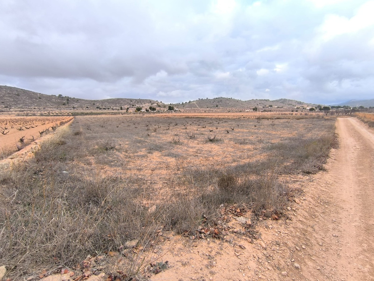 Se vende Terreno Rustico  en Costa Blanca, Alicante, España