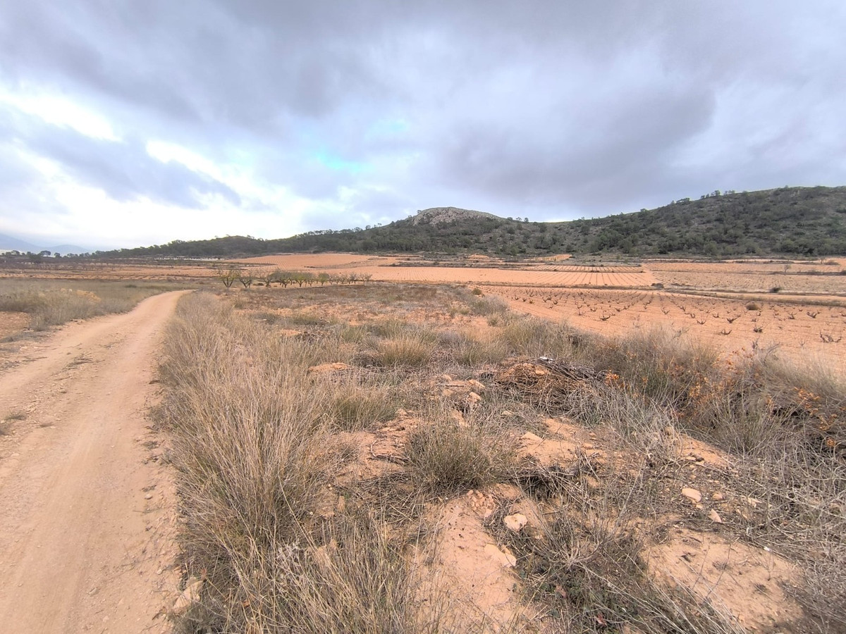 Se vende Terreno Rustico  en Costa Blanca, Alicante, España