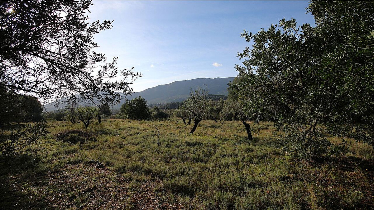Se vende Terreno Urbano  en Costa Blanca, Alicante, España