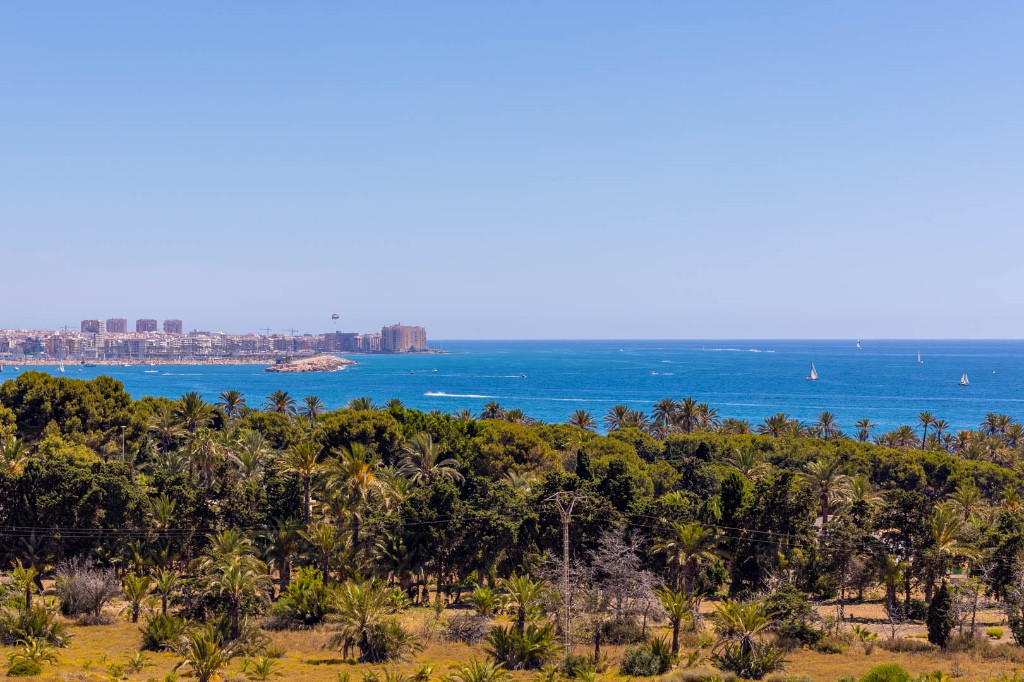2 Bed Apartment for sale in Punta Prima Costa Blanca, Alicante, Spain