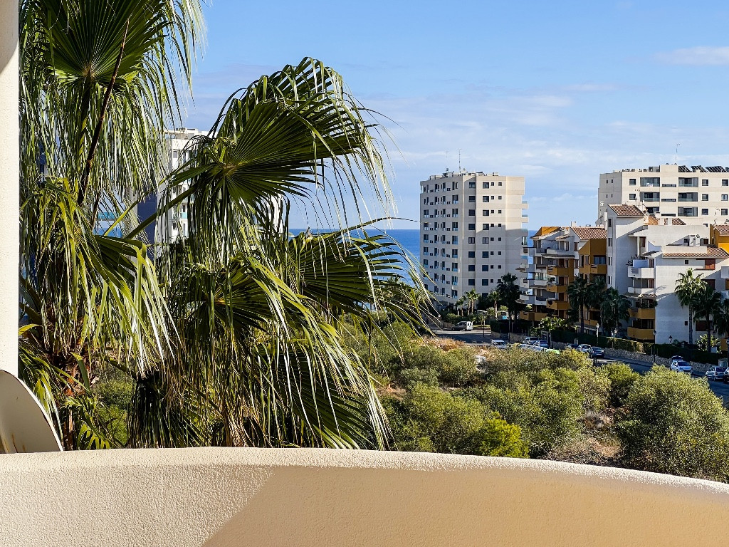 2 Bed Apartment for sale in Punta Prima Costa Blanca, Alicante, Spain