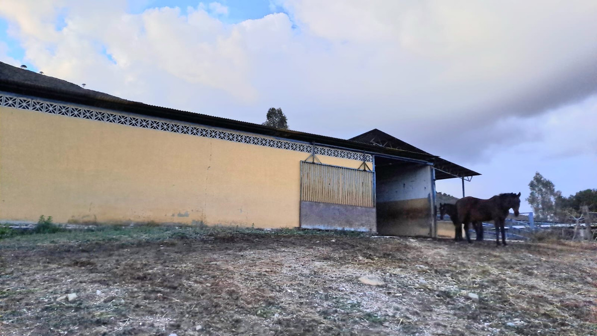 Se vende Otro de 8 dormitorios en Costa Del Sol, Málaga, España