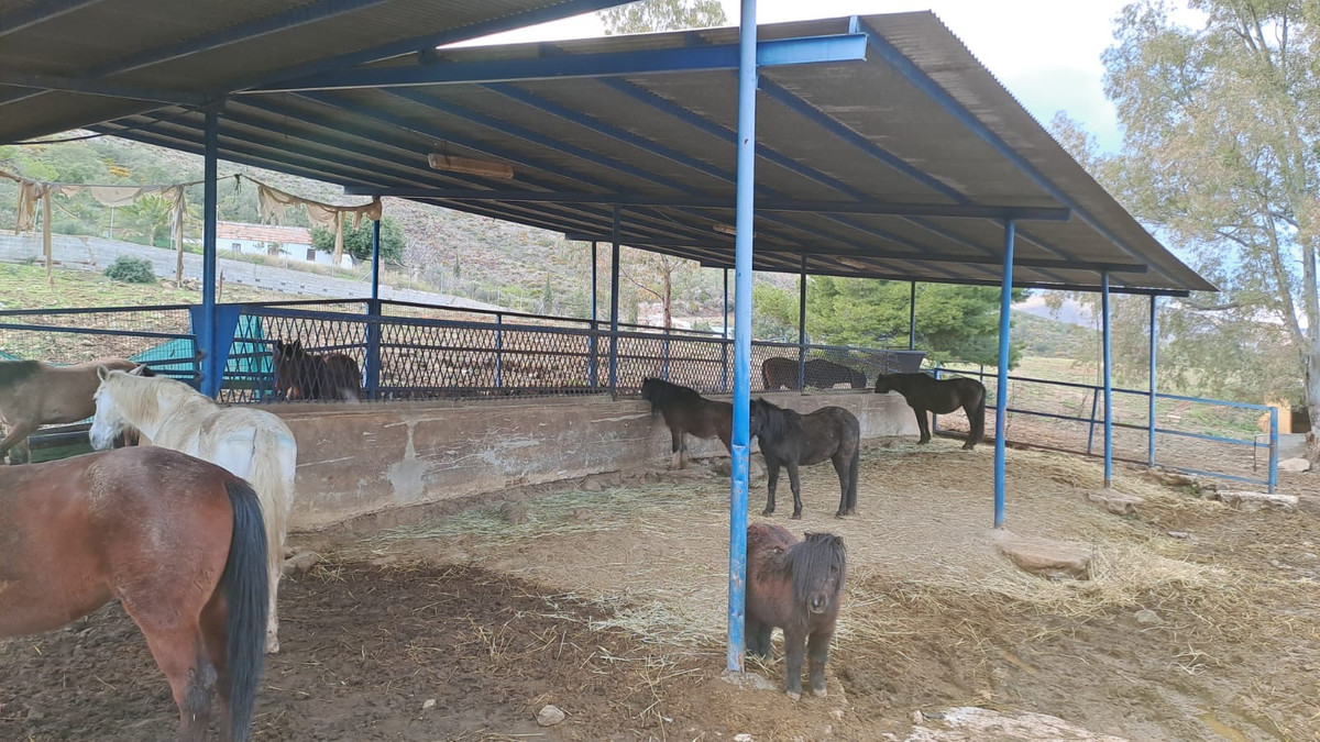 Se vende Otro de 8 dormitorios en Costa Del Sol, Málaga, España