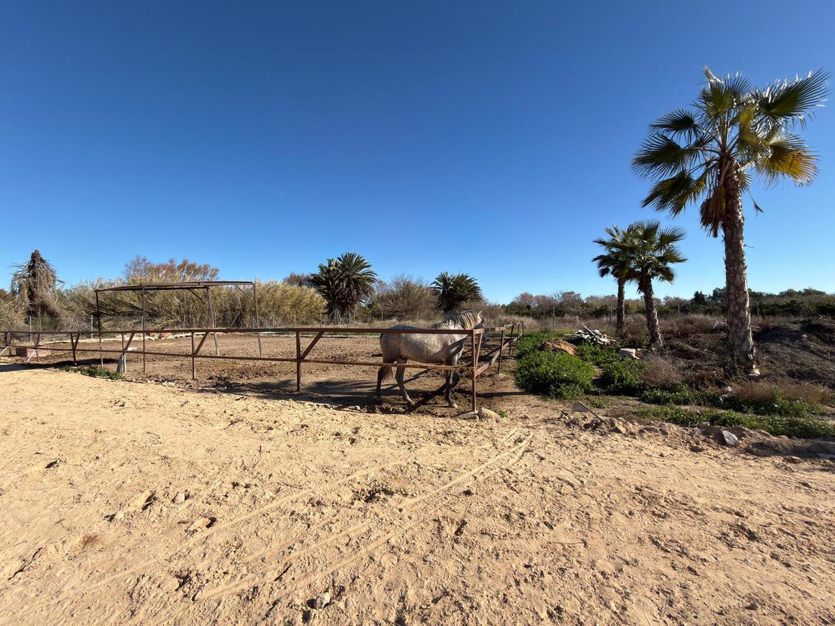 2 Bed Plots for sale in Algorfa Costa Blanca, Alicante, Spain