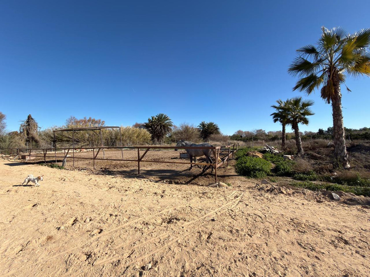 2 Bed Plots for sale in Algorfa Costa Blanca, Alicante, Spain
