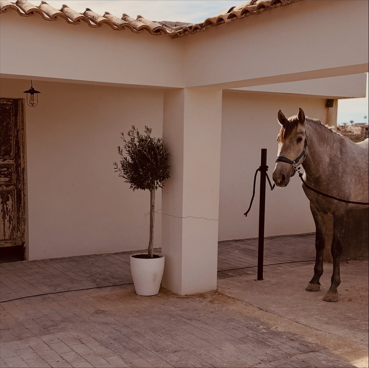 2 Bed Townhouse for sale in Algorfa Costa Blanca, Alicante, Spain