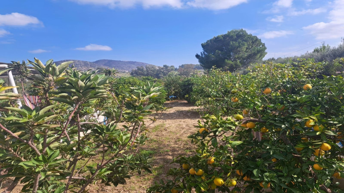 Se vende Finca - Cortijo de 4 dormitorios en Costa Del Sol, Málaga, España