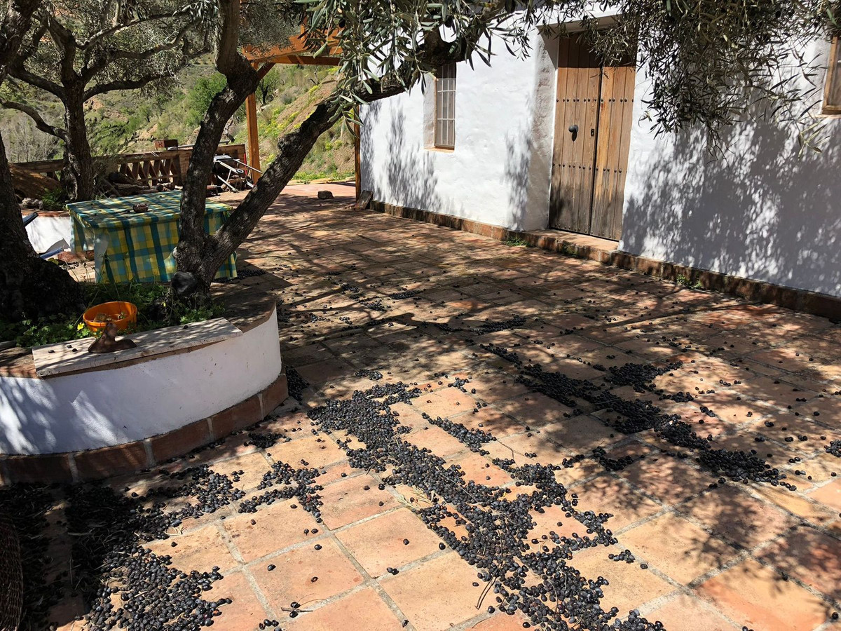 Se vende Terreno Rustico de 1 dormitorios en Costa Del Sol, Málaga, España