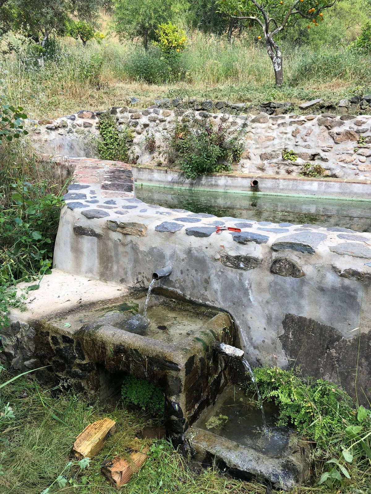 Se vende Terreno Rustico de 1 dormitorios en Costa Del Sol, Málaga, España