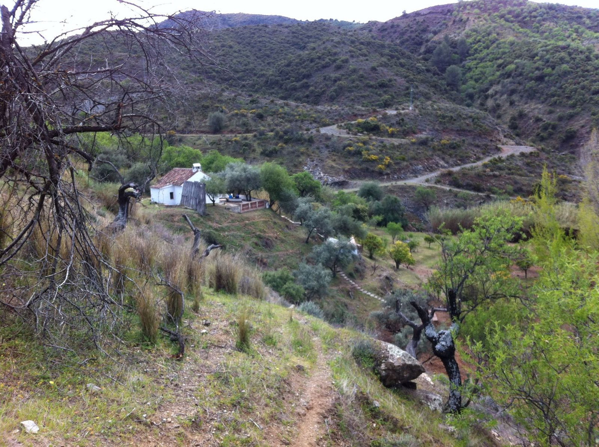 Se vende Terreno Rustico de 1 dormitorios en Costa Del Sol, Málaga, España