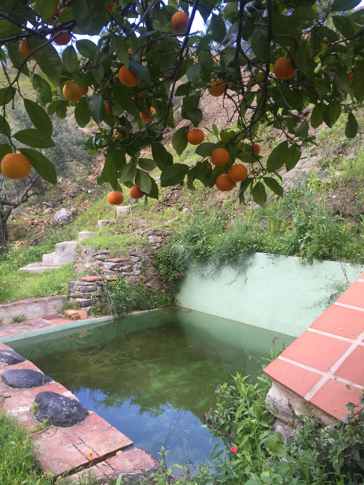 Se vende Terreno Rustico de 1 dormitorios en Costa Del Sol, Málaga, España