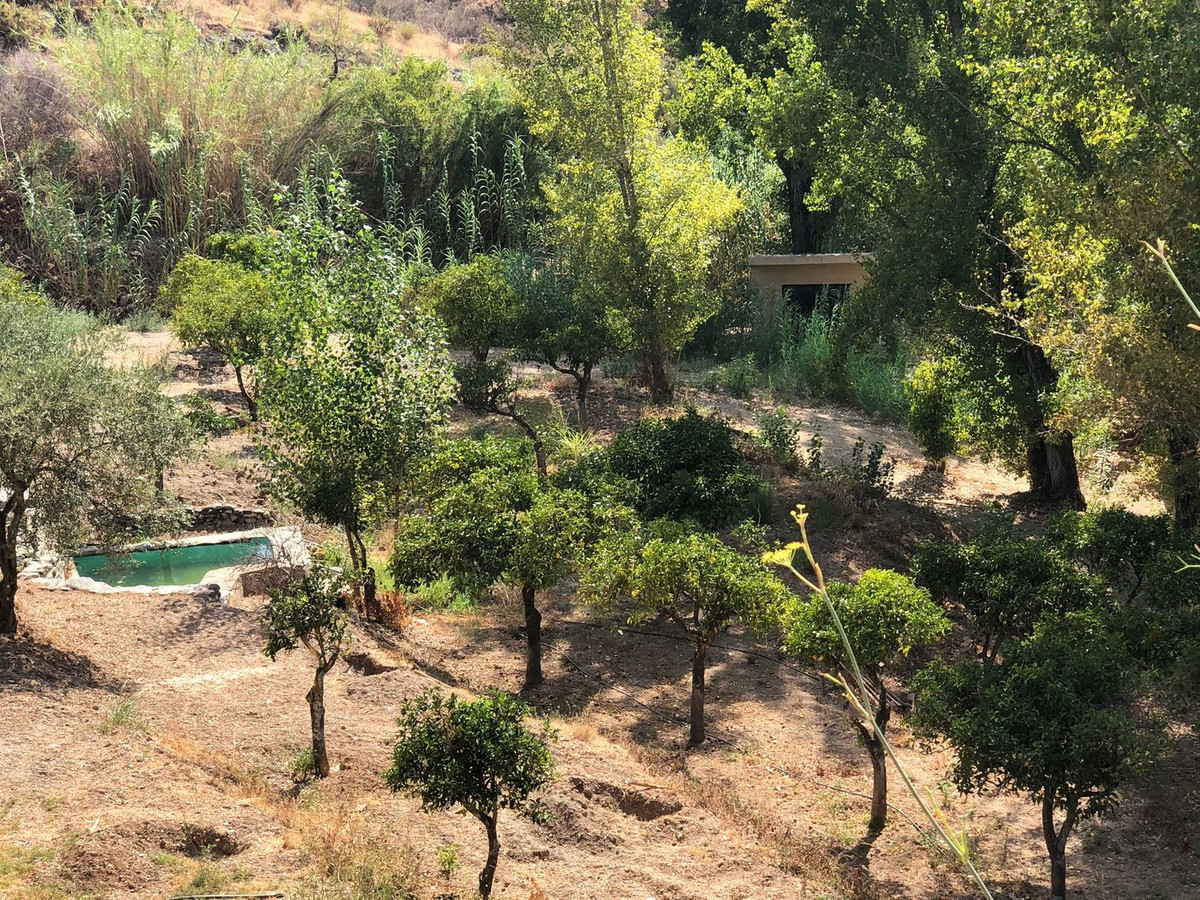 Se vende Terreno Rustico de 1 dormitorios en Costa Del Sol, Málaga, España