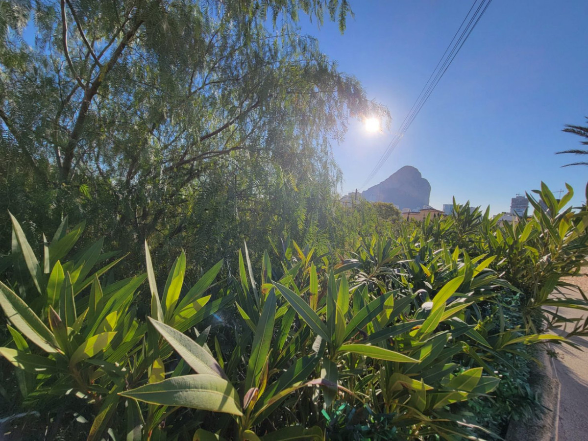 Se vende Terreno Rustico  en Costa Blanca, Alicante, España